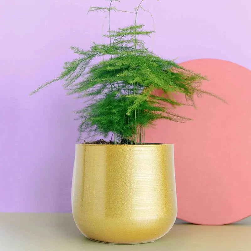Vaso Dourado de Metal para Plantas Casamarella