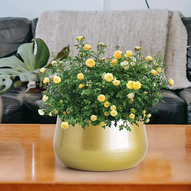 Vaso Dourado de Metal para Plantas Casamarella